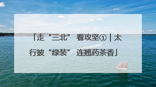 走“三北” 看攻坚①｜太行披“绿装” 连翘药茶香