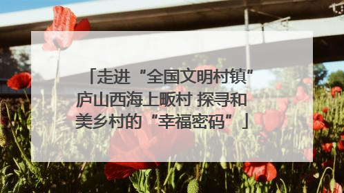 走进“全国文明村镇”庐山西海上畈村 探寻和美乡村的“幸福密码”