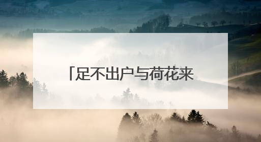 足不出户与荷花来一场浪漫约会！湖北推出赏荷地图