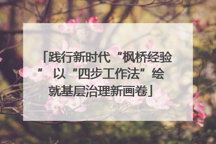 践行新时代“枫桥经验” 以“四步工作法”绘就基层治理新画卷