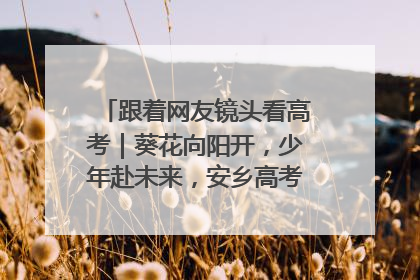 跟着网友镜头看高考｜葵花向阳开，少年赴未来，安乡高考首日的希望图景