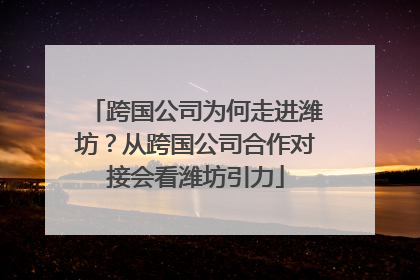 跨国公司为何走进潍坊？从跨国公司合作对接会看潍坊引力