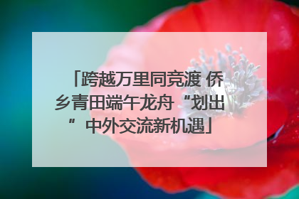 跨越万里同竞渡 侨乡青田端午龙舟“划出”中外交流新机遇