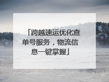 跨越速运优化查单号服务，物流信息一键掌握