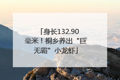 身长132.90毫米！桐乡养出“巨无霸”小龙虾