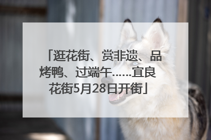 逛花街、赏非遗、品烤鸭、过端午……宜良花街5月28日开街