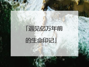 遇见亿万年前的生命印记