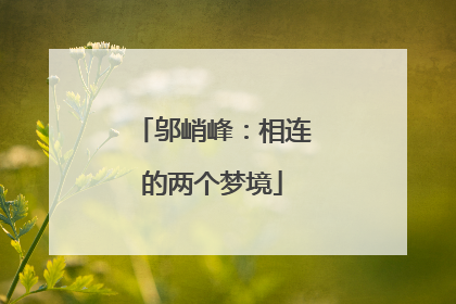 邬峭峰：相连的两个梦境