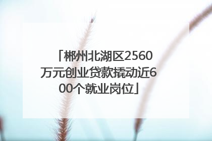 郴州北湖区2560万元创业贷款撬动近600个就业岗位