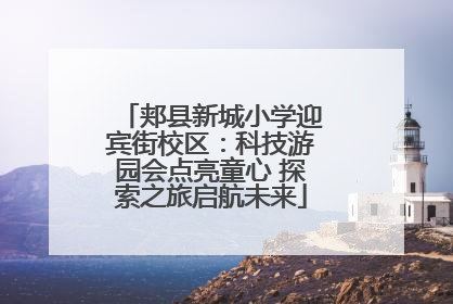 郏县新城小学迎宾街校区：科技游园会点亮童心 探索之旅启航未来