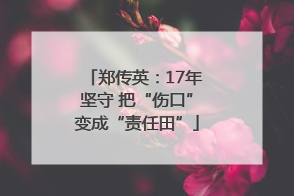 郑传英：17年坚守 把“伤口”变成“责任田”