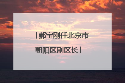 郝宝刚任北京市朝阳区副区长