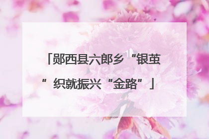 郧西县六郎乡“银茧”织就振兴“金路”