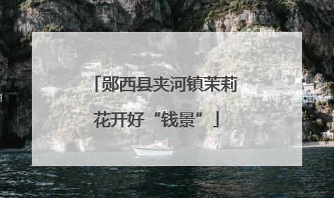 郧西县夹河镇茉莉花开好“钱景”