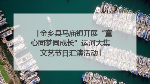 金乡县马庙镇开展“童心同梦同成长”运河大集文艺节目汇演活动