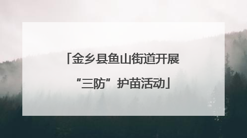 金乡县鱼山街道开展“三防”护苗活动