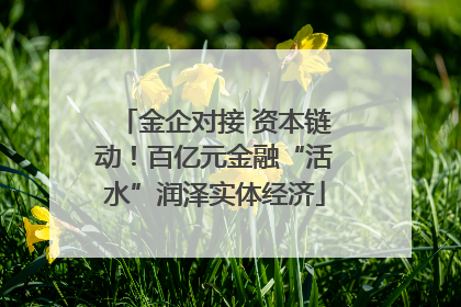 金企对接 资本链动！百亿元金融“活水”润泽实体经济