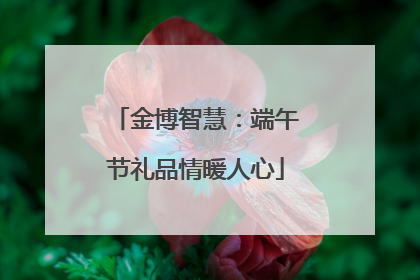 金博智慧：端午节礼品情暖人心