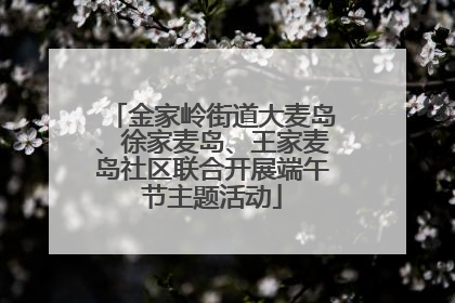 金家岭街道大麦岛、徐家麦岛、王家麦岛社区联合开展端午节主题活动