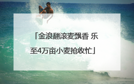 金浪翻滚麦飘香 乐至4万亩小麦抢收忙