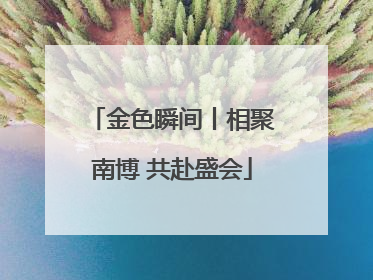 金色瞬间丨相聚南博 共赴盛会