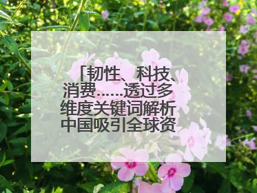 韧性、科技、消费……透过多维度关键词解析中国吸引全球资本“新磁场”