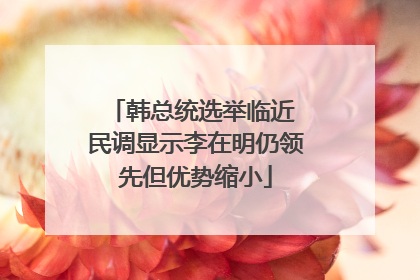 韩总统选举临近 民调显示李在明仍领先但优势缩小