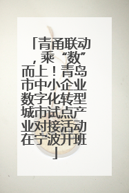 青甬联动，乘“数”而上！青岛市中小企业数字化转型城市试点产业对接活动在宁波开班