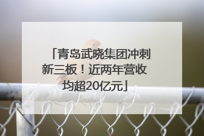 青岛武晓集团冲刺新三板！近两年营收均超20亿元