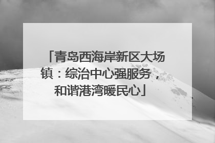 青岛西海岸新区大场镇：综治中心强服务，和谐港湾暖民心