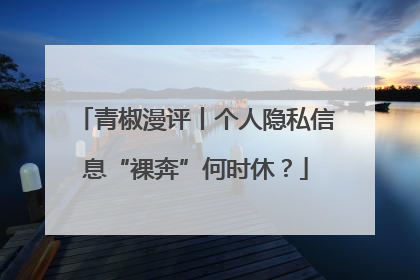 青椒漫评丨个人隐私信息“裸奔”何时休？