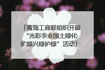 青海工商联组织开展“光彩事业国土绿化·扩绿兴绿护绿”活动