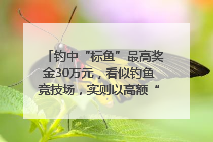 钓中“标鱼”最高奖金30万元，看似钓鱼竞技场，实则以高额“回报”作“饵”……｜今晚九点半