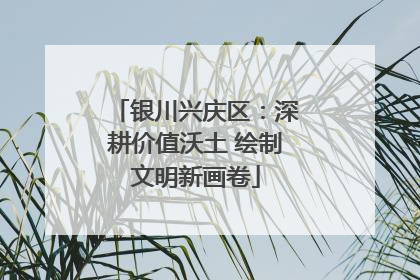银川兴庆区：深耕价值沃土 绘制文明新画卷