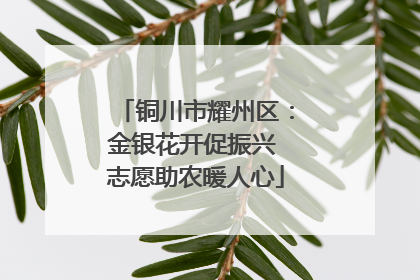 铜川市耀州区：金银花开促振兴 志愿助农暖人心