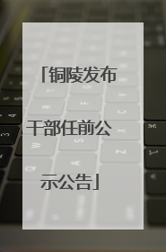 铜陵发布干部任前公示公告
