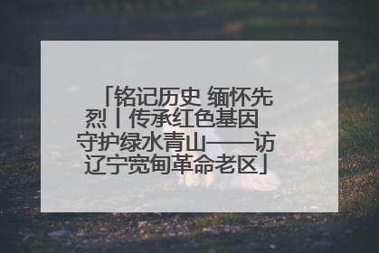 铭记历史 缅怀先烈丨传承红色基因 守护绿水青山——访辽宁宽甸革命老区
