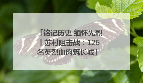 铭记历史 缅怀先烈丨苏村阻击战：126名英烈血肉筑长城