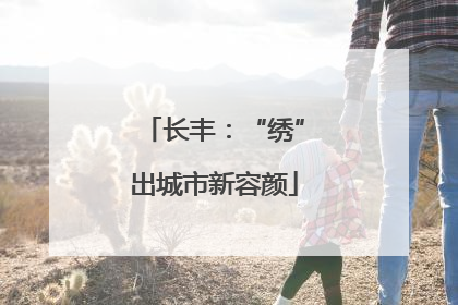 长丰：“绣”出城市新容颜