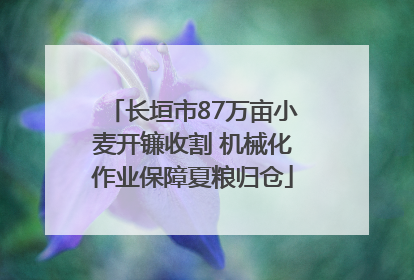 长垣市87万亩小麦开镰收割 机械化作业保障夏粮归仓