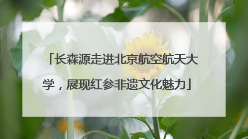 长森源走进北京航空航天大学，展现红参非遗文化魅力