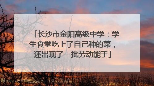 长沙市金阳高级中学：学生食堂吃上了自己种的菜，还出现了一批劳动能手