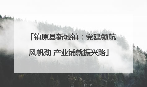 镇原县新城镇：党建领航风帆劲 产业铺就振兴路