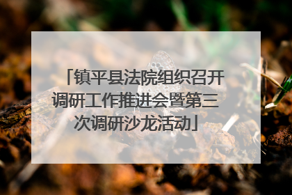 镇平县法院组织召开调研工作推进会暨第三次调研沙龙活动
