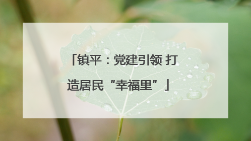 镇平：党建引领 打造居民“幸福里”