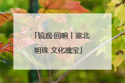 镜观·回响丨塞北明珠 文化瑰宝