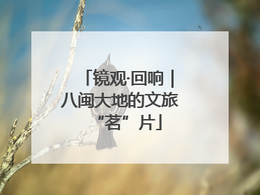 镜观·回响｜八闽大地的文旅“茗”片