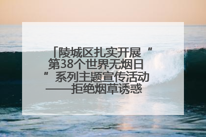 陵城区扎实开展“第38个世界无烟日”系列主题宣传活动——拒绝烟草诱惑 对第一支烟说不