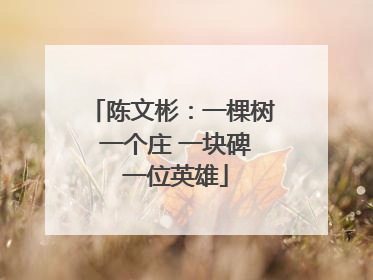 陈文彬：一棵树 一个庄 一块碑 一位英雄