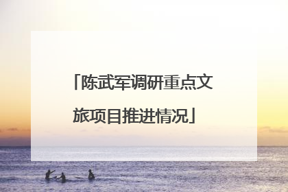 陈武军调研重点文旅项目推进情况